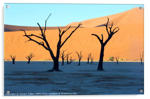 Dead Vlei desiccated trees, Sossusvlei, Namibia, Africa Acrylic by Geraint Tellem ARPS