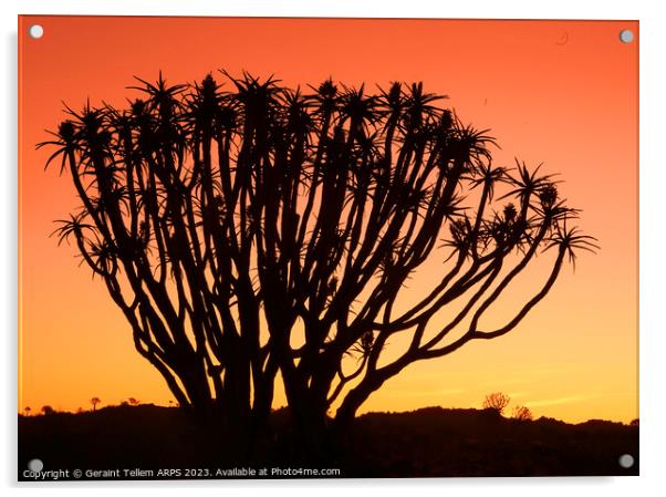 Twilight, Quiver Tree Forest, Keetmanshoop, Southern Namibia Acrylic by Geraint Tellem ARPS