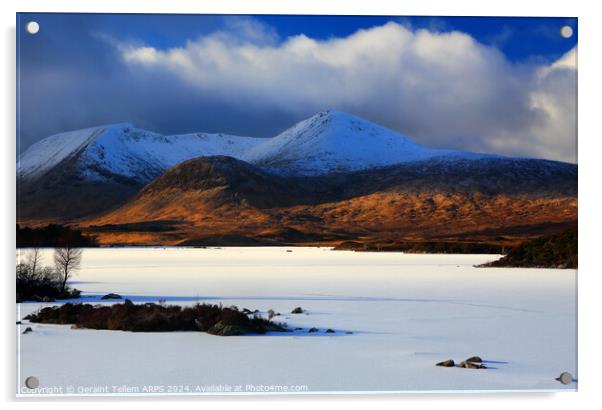 Rannoch Moor, Highland, Scotland in winter Acrylic by Geraint Tellem ARPS