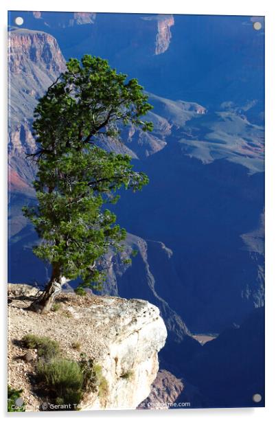 Lone tree, south rim, Grand Canyon, Arizona, USA Acrylic by Geraint Tellem ARPS