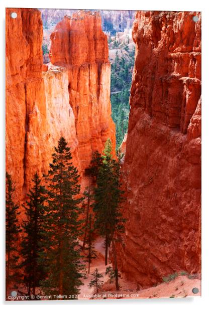 Navajo Loop trail descending from Sunrise Point, Bryce Canyon, Utah, USA Acrylic by Geraint Tellem ARPS