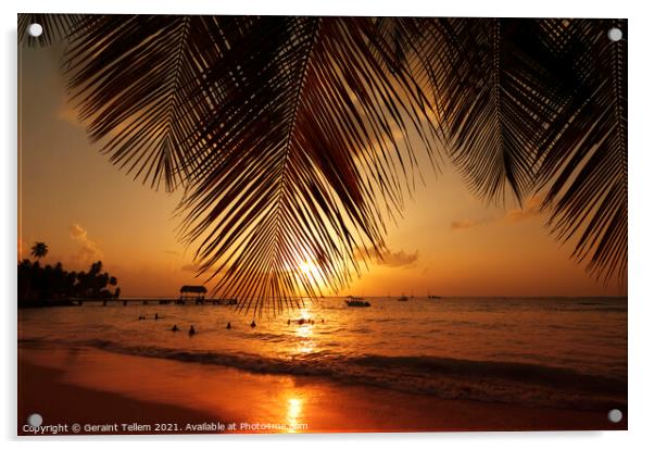 Sunset, Pigeon Point, Tobago, Caribbean Acrylic by Geraint Tellem ARPS