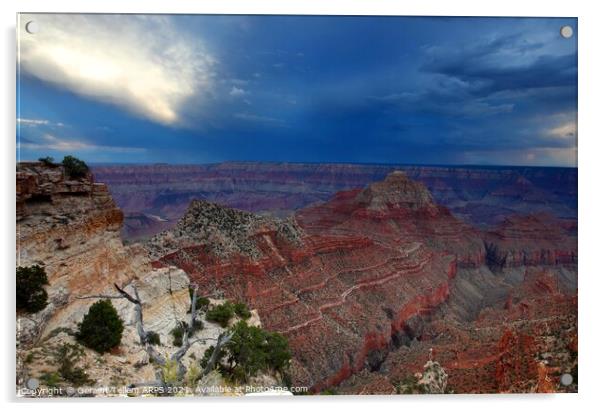 Grand Canyon Arizona, USA from near Cape Royal, North Rim Acrylic by Geraint Tellem ARPS