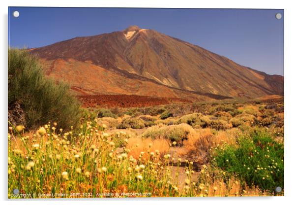 Mt. Teide, Tenerife, Canary Islands Acrylic by Geraint Tellem ARPS