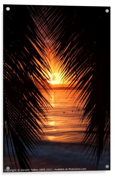 Palm trees at sunset, St. Lucia, Caribbean Acrylic by Geraint Tellem ARPS