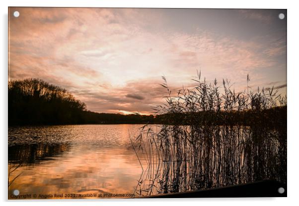 Reeds at Sunset at Coate Water Swindon Acrylic by Reidy's Photos