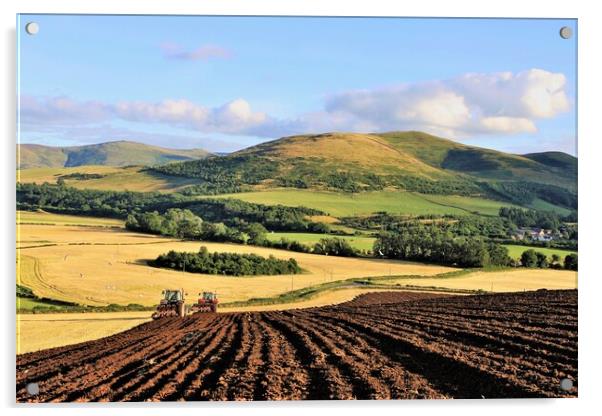 Ploughing in tandem Mindrum Cheviot Hills. Acrylic by mick vardy