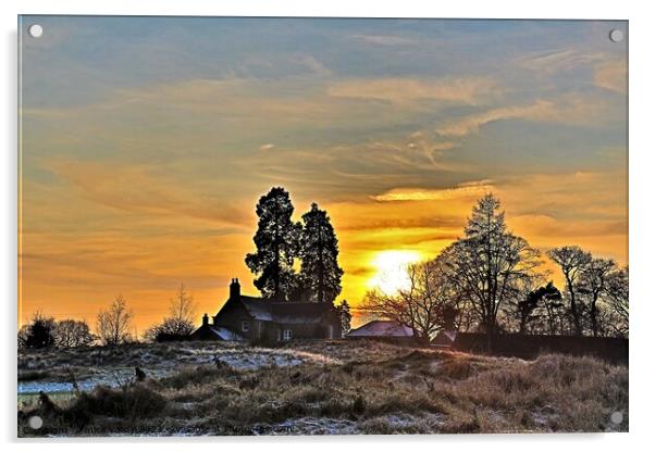 Winter sunset near Wylam Acrylic by mick vardy