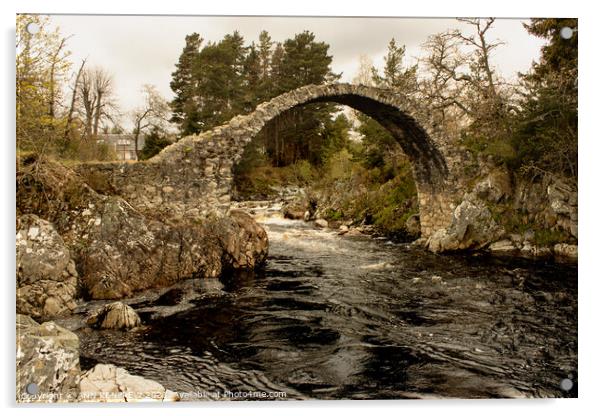 Old Packhorse Bridge in Carrbridge Scotland Acrylic by ANN RENFREW