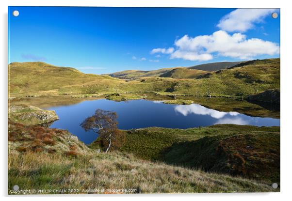 Angle tarn in the lake district  664 Acrylic by PHILIP CHALK