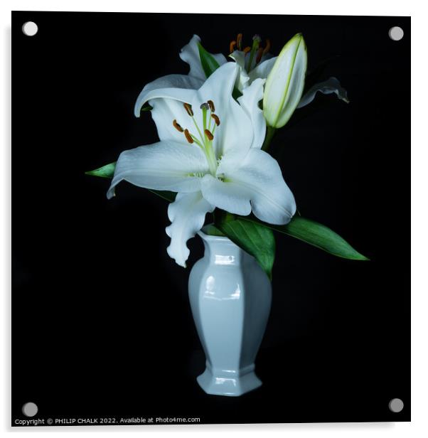 White Lily in a vase 677 Acrylic by PHILIP CHALK
