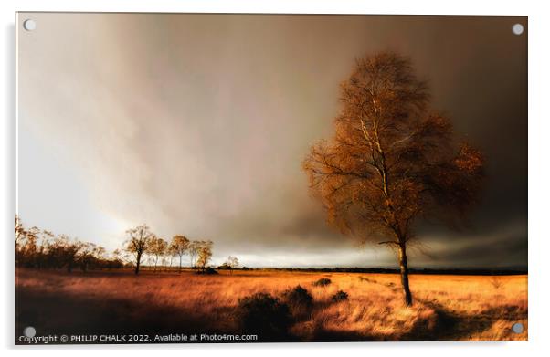 Lone tree in a storm 25 Acrylic by PHILIP CHALK