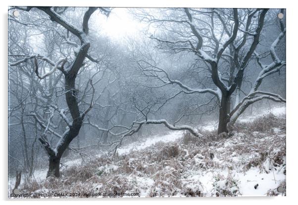 Snowy woodland scene 1045 Acrylic by PHILIP CHALK