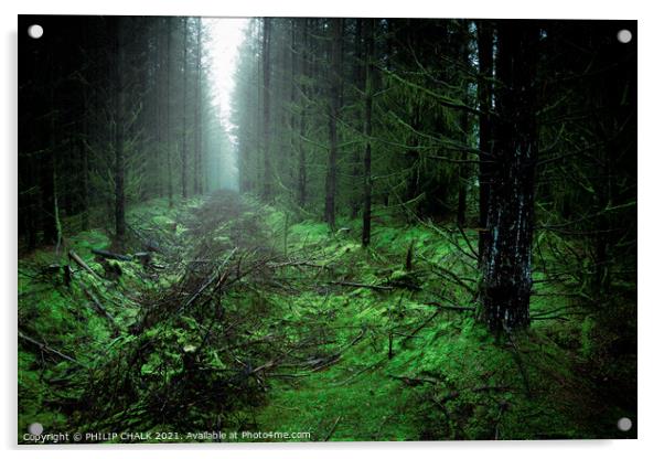Misty murky Cropton forest woodland scene 61 Acrylic by PHILIP CHALK