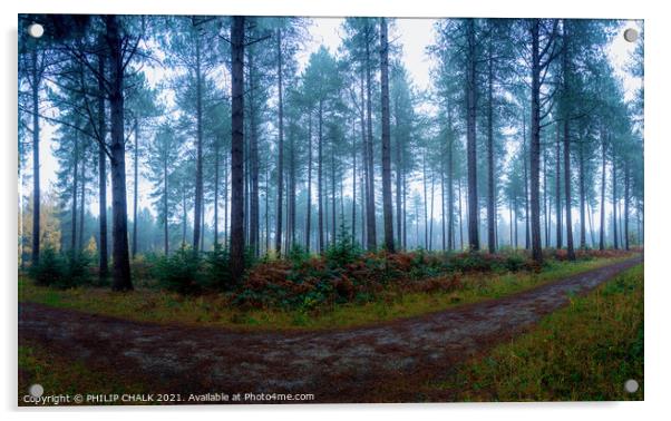 Misty woodland 374  Acrylic by PHILIP CHALK
