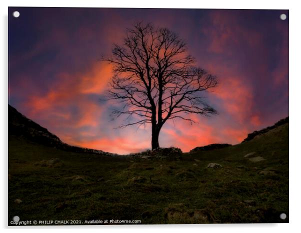 Sycamore gap sunset 379  Acrylic by PHILIP CHALK