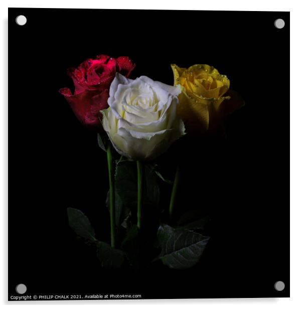 Three roses in the dark 409  Acrylic by PHILIP CHALK
