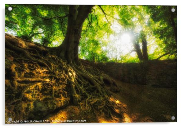 Hetchell wood sunrise through trees near Bardsey.  442  Acrylic by PHILIP CHALK