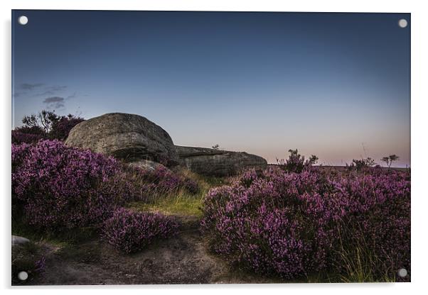 Heather in Bloom at Millstone Edge Acrylic by Jeni Harney