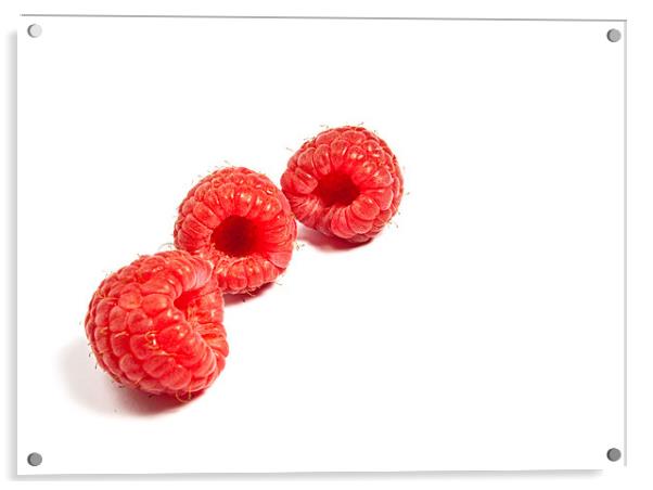 Raspberries Acrylic by Jeni Harney