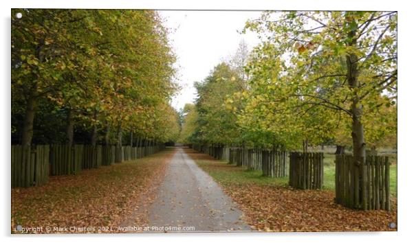 Autumn Walk Acrylic by Mark Chesters