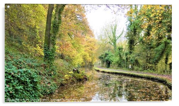 Serene Autumn Caldon Canal Acrylic by Mark Chesters