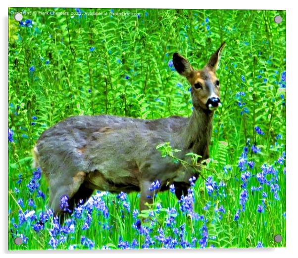 Majestic Deer Amidst Bluebells Acrylic by Mark Chesters