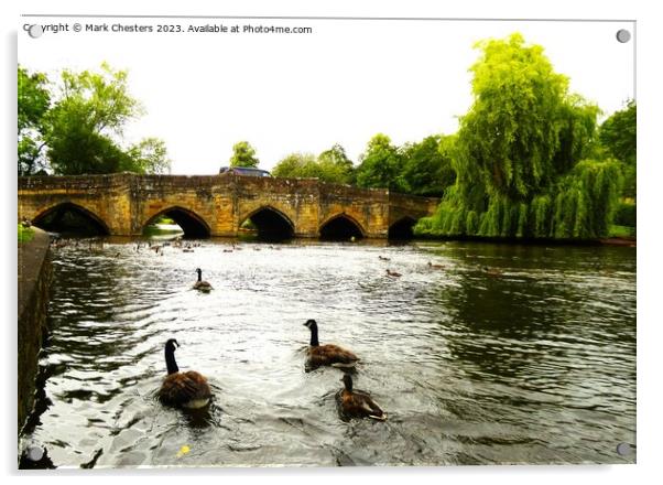 Geese on the river Wye Acrylic by Mark Chesters