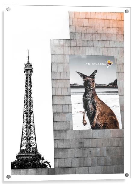 Kangaroo in Paris Acrylic by John Hemming