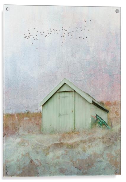 The Lone Beach Hut  Acrylic by Anthony McGeever