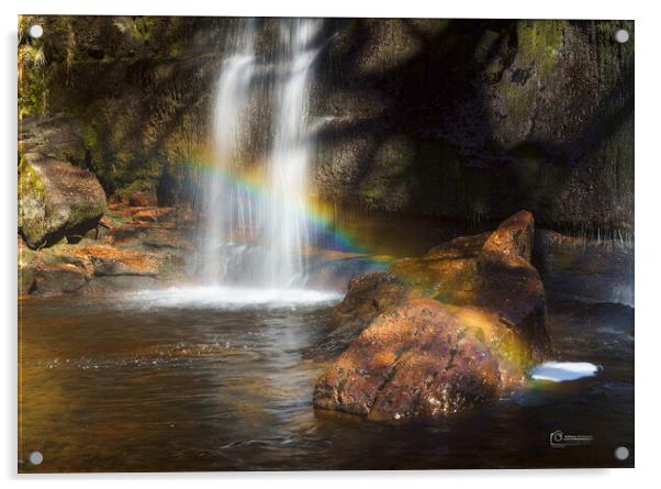 Rainbow Falls  Acrylic by Anthony McGeever