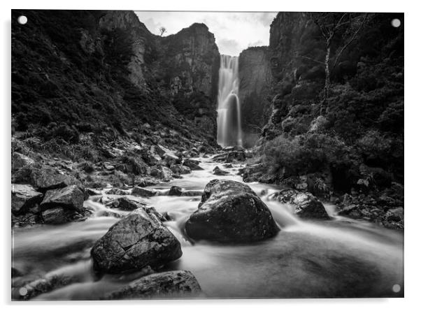 Wailing Widow Falls in black and white  Acrylic by Anthony McGeever