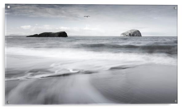 Seacliff Beach and Bass Rock  Acrylic by Anthony McGeever