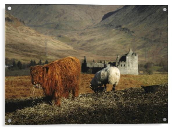 Scottish Highlands  Acrylic by Anthony McGeever