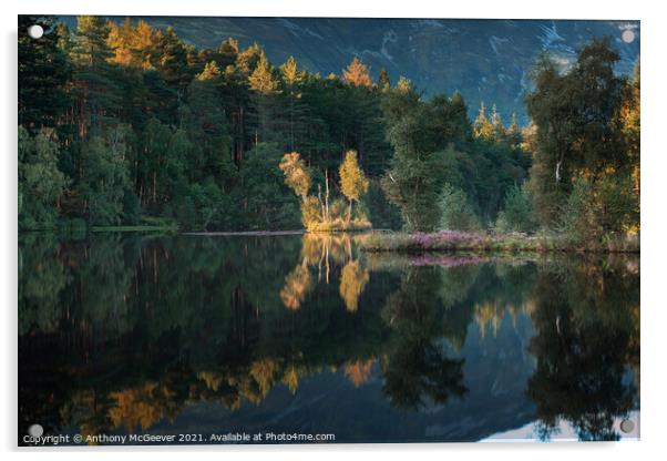 Autumn Lochan  Acrylic by Anthony McGeever