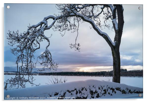 A Winter Sunset Acrylic by Anthony McGeever