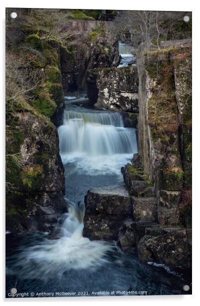 Bracklinn Falls Callander Scotland  Acrylic by Anthony McGeever