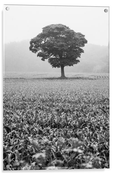 Lone tree standing in a field of crops Acrylic by That Foto