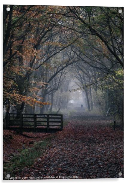 Autumn woods walk,misty Acrylic by That Foto