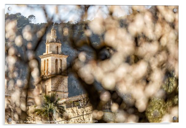 Almond blossom season in village Caimari, Mallorca Acrylic by MallorcaScape Images