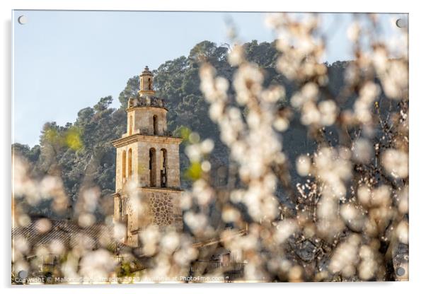 Almond blossom season in village Caimari, Mallorca Acrylic by MallorcaScape Images