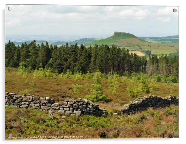 Roseberry Topping, Yorkshire  Acrylic by Sue Walker