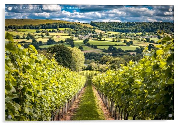 Cotswold Vineyard Acrylic by Michael Barby
