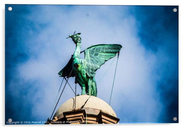 Liverpool Liver Bird Acrylic by Chris Pownell