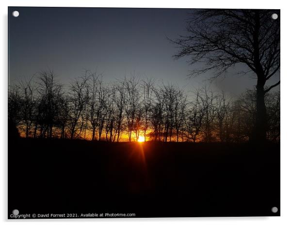 Sunset Acrylic by David Forrest