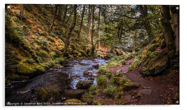 Burbage Brook, Padley Gorge Acrylic by Jonathan Bird