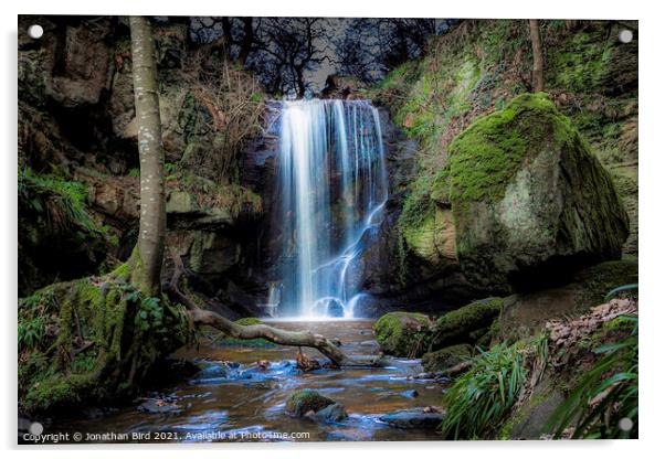 Roughting Linn Waterfall, Northumberland Acrylic by Jonathan Bird