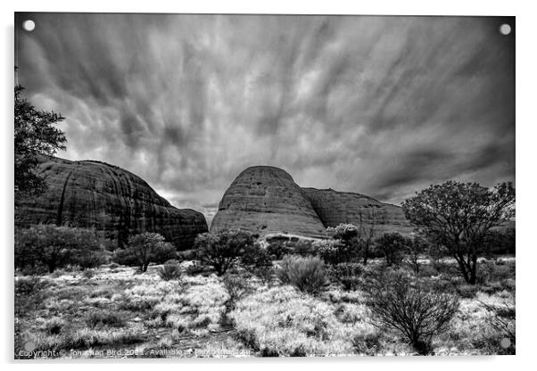 The Olgas in Monochrome Acrylic by Jonathan Bird