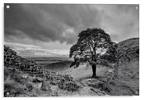 Sycamore Gap, View to the North Acrylic by Jonathan Bird