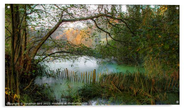 Forgotten Corner, Weald Country Park #1 Acrylic by Jonathan Bird
